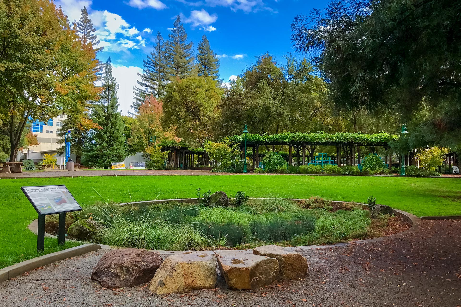 Rain gardens at Sacramento State